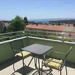 Olea *